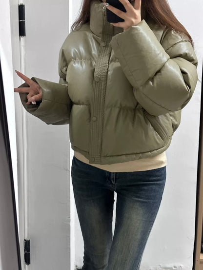 Shiny Puffer